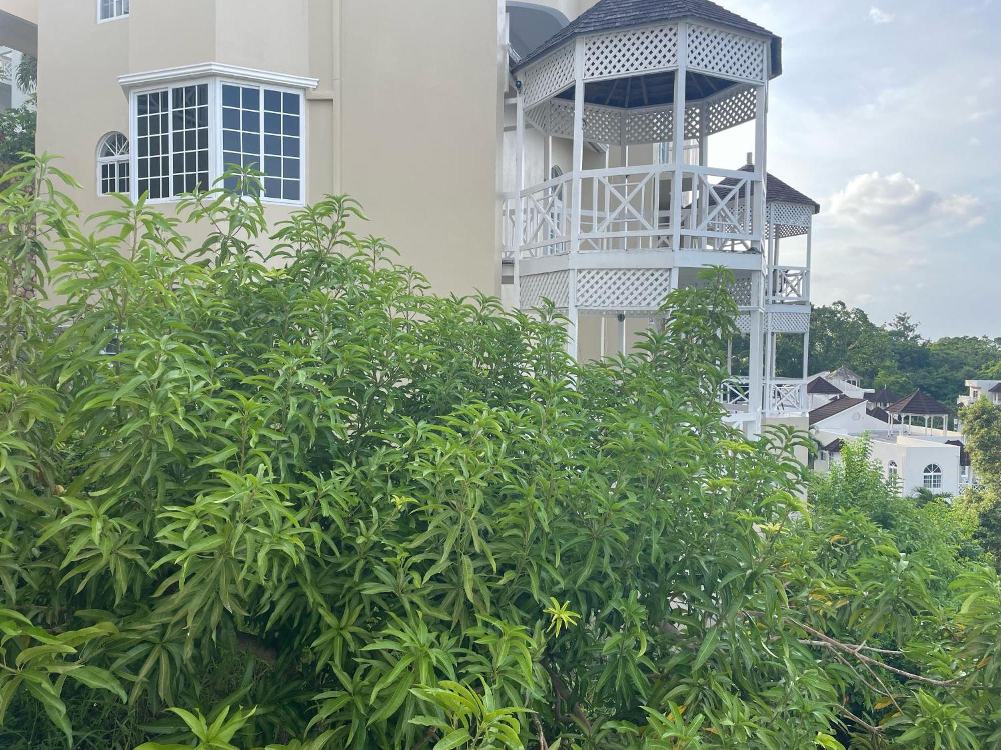 Oceanbreeze Jamaica Penthouse, 7-Minute Walk To Beach Ocho Rios Eksteriør bilde