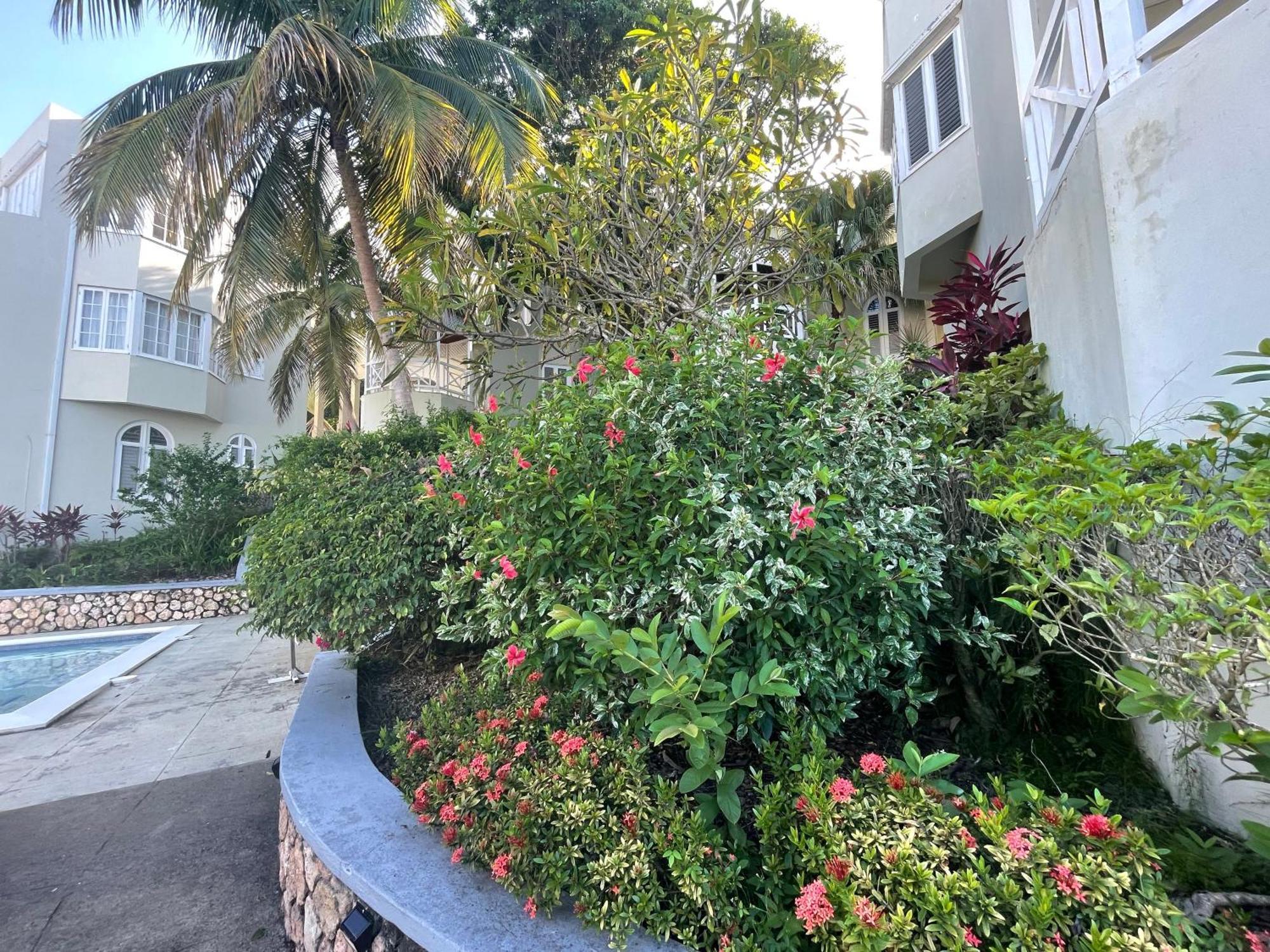 Oceanbreeze Jamaica Penthouse, 7-Minute Walk To Beach Ocho Rios Eksteriør bilde